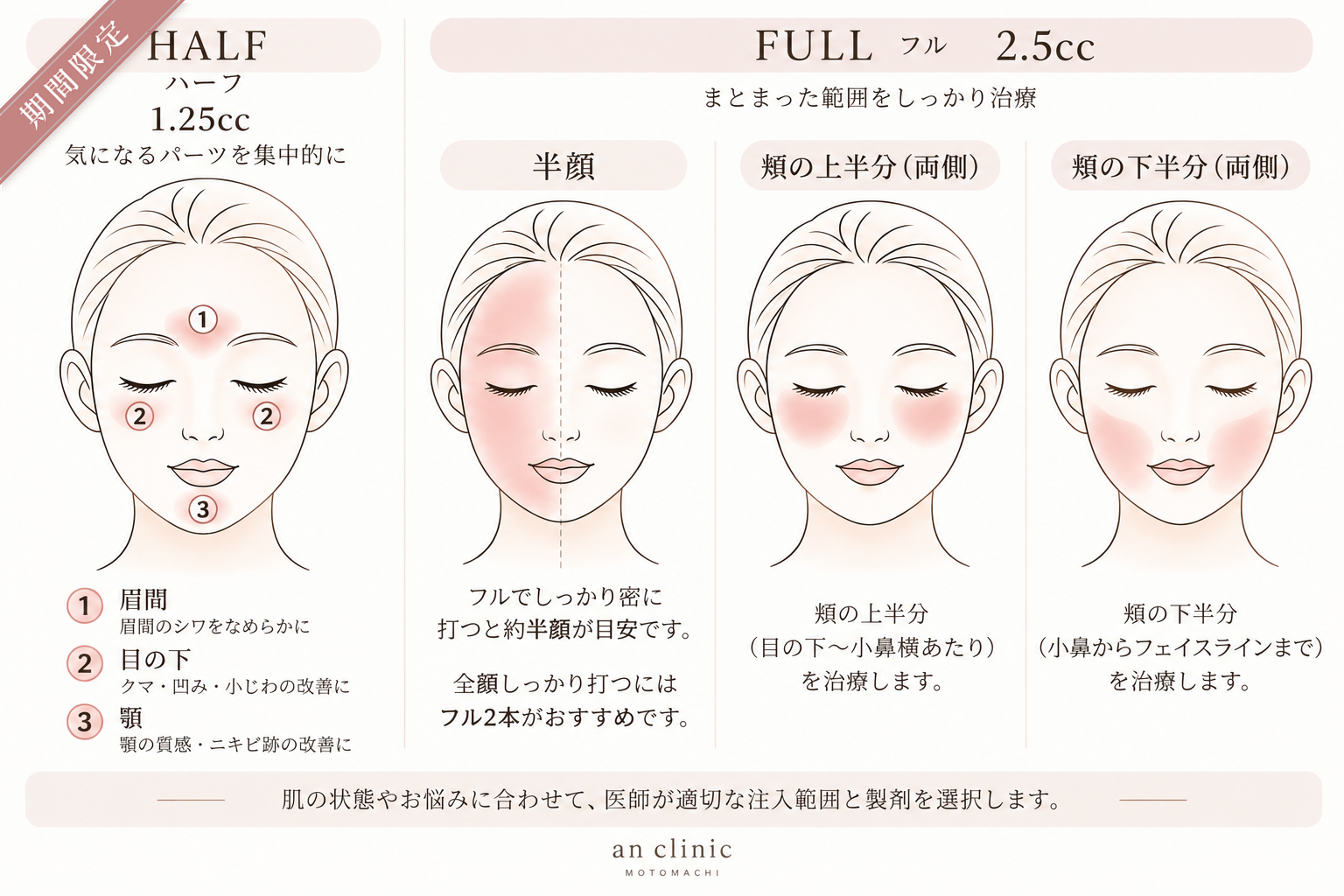 anカクテル HALF 1.25ccとFULL 2.5ccの治療範囲